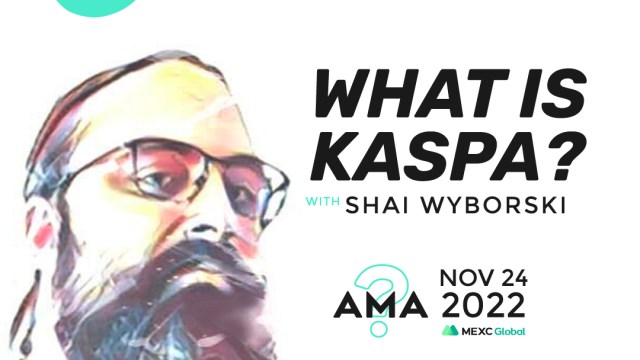kaspa-AMA-snippet-Shai-IG