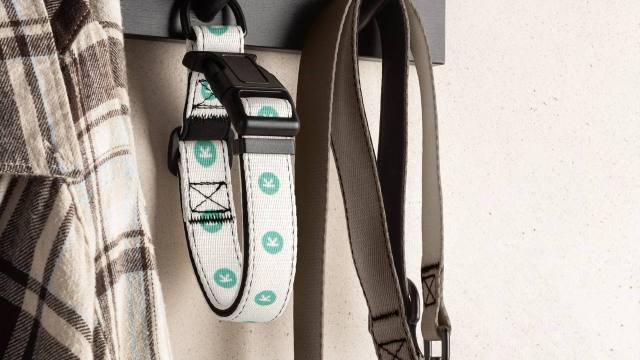 photo_2025-02-23-14.34.06